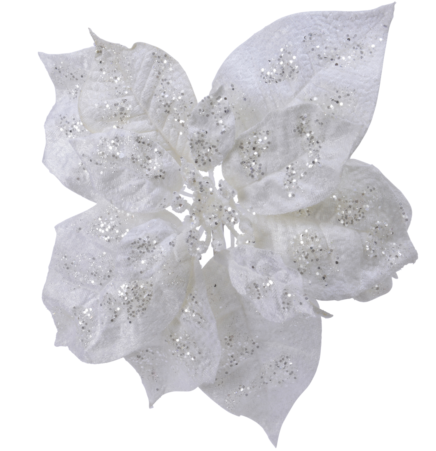 White Poinsettia Flower Clip Christmas Decorations - Decorate Christmas